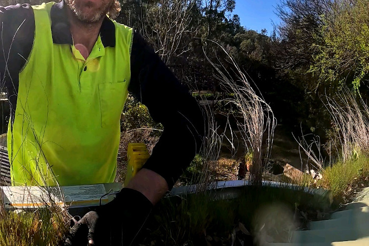 Amidst ulladulla, gutters flourish with grass, cleaner at the brink.