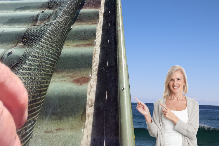 ulladulla Woman Overjoyed with Cleaned Underneath Gutter Guard